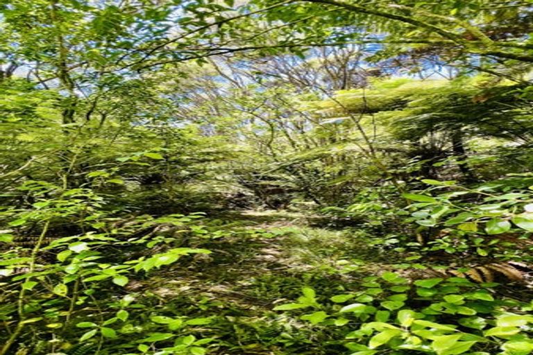 Photo of property in 877 Tiki Quarry Road, Preece Point, Coromandel, 3581