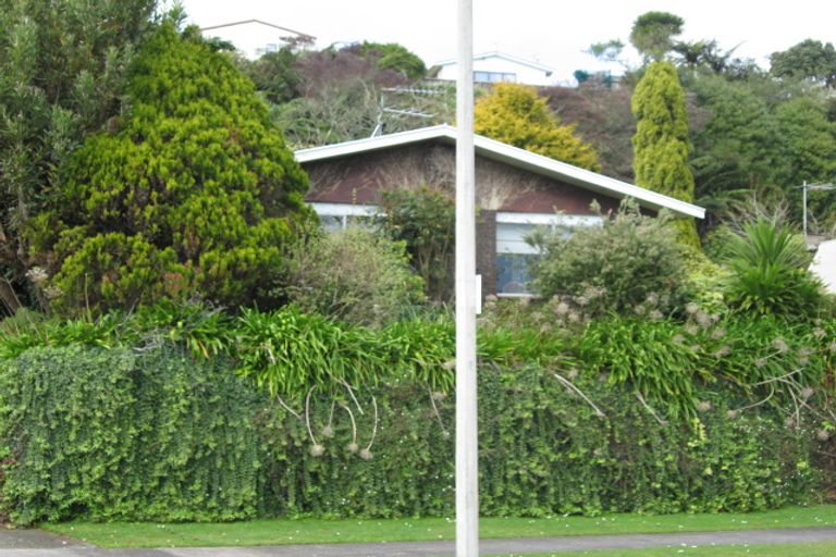 Photo of property in 19 Heaphy Street, Westown, New Plymouth, 4310