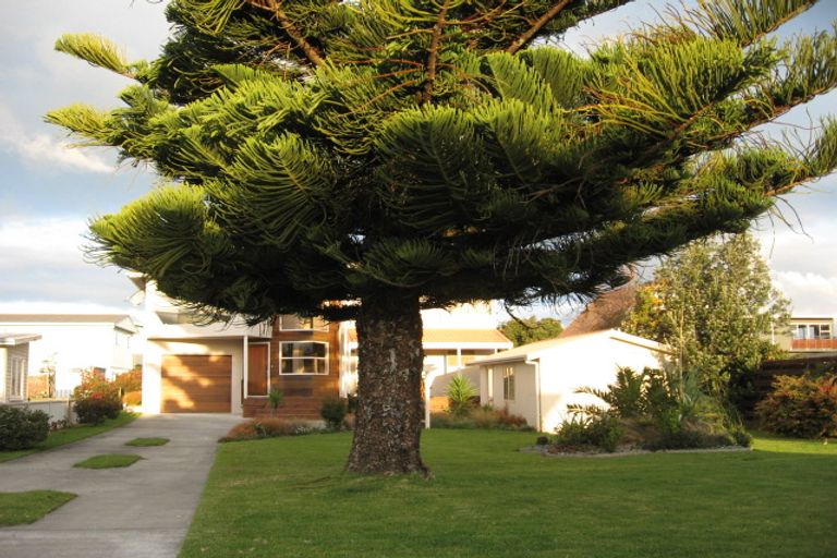 Photo of property in 228 Rangi Avenue, Whangamata, 3620