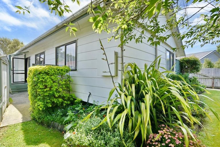 Photo of property in 46a Sneyd Street, Kaiapoi, 7630