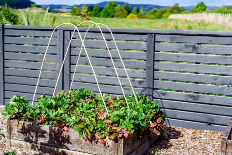 Photo of property in 39 Speranza Avenue, Otaki, 5512