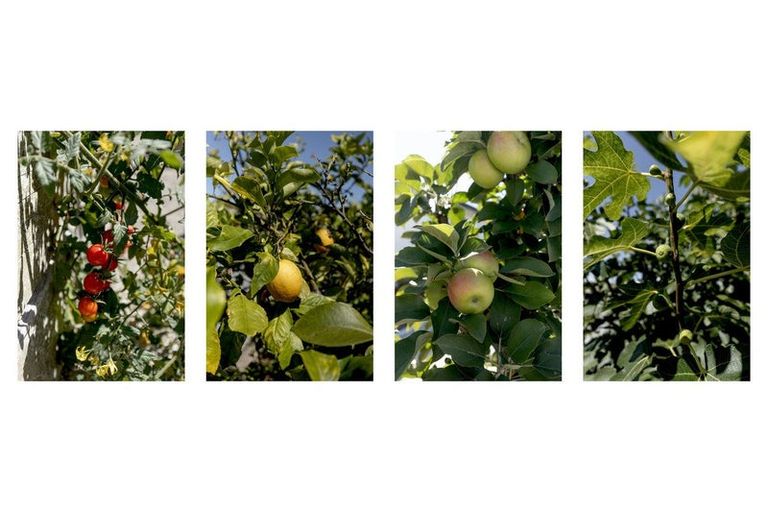 Photo of property in 9 Dawn Parade, Coastlands, Whakatane, 3120