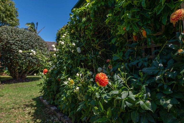 Photo of property in 173 Lake Road, Belmont, Auckland, 0622