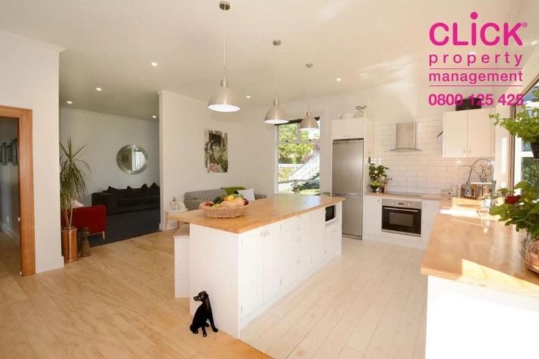 Photo of property in 7 Ventnor Street, Mornington, Dunedin, 9011