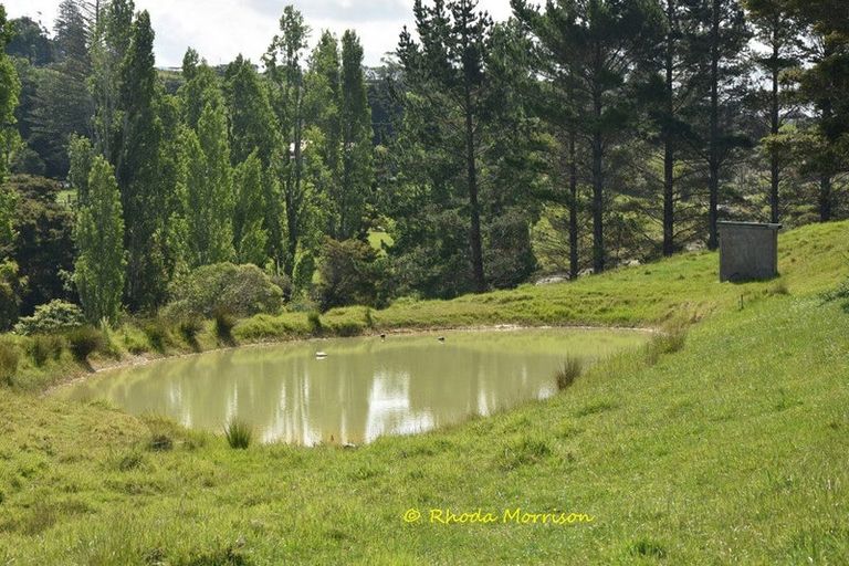 Photo of property in 69 Matakohe Wharf Road, Matakohe, 0593