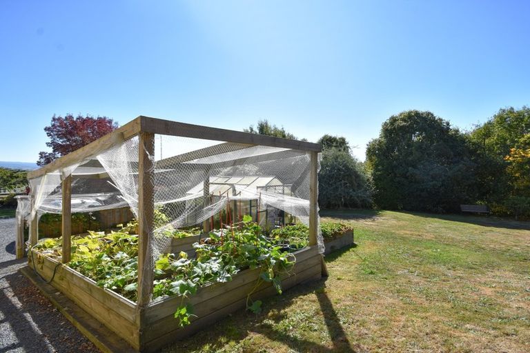 Photo of property in 76 Greenwich Street, Waihola, Milton, 9073
