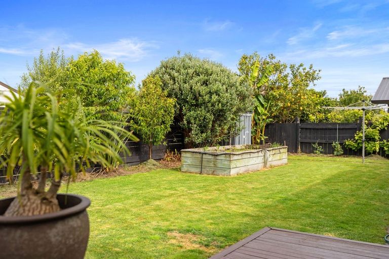 Photo of property in 55 Kane Road, Papamoa Beach, Papamoa, 3118