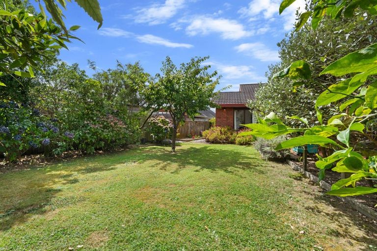 Photo of property in 10 Wright Grove, Levin, 5510