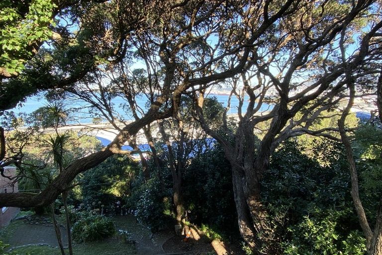 Photo of property in 4 Rangiora Avenue, Kaiwharawhara, Wellington, 6035