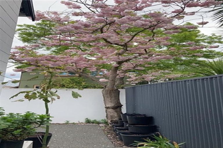 Photo of property in 1/38 Tonbridge Street, Merivale, Christchurch, 8014