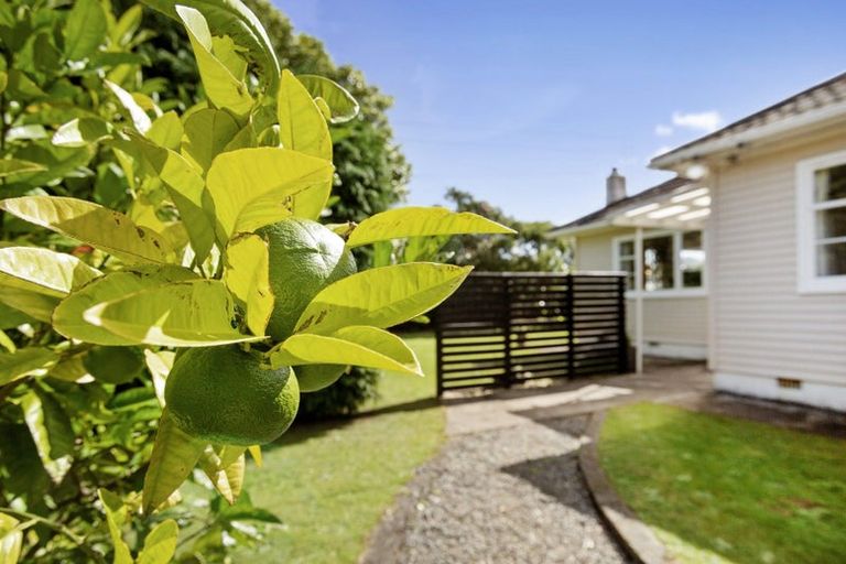 Photo of property in 19 Naenae Road, Naenae, Lower Hutt, 5011