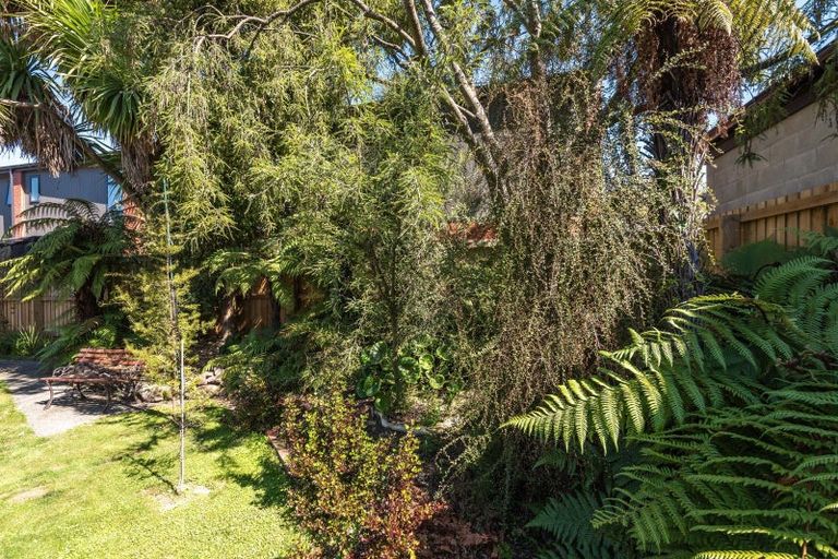 Photo of property in 81 Edward Avenue, Edgeware, Christchurch, 8013