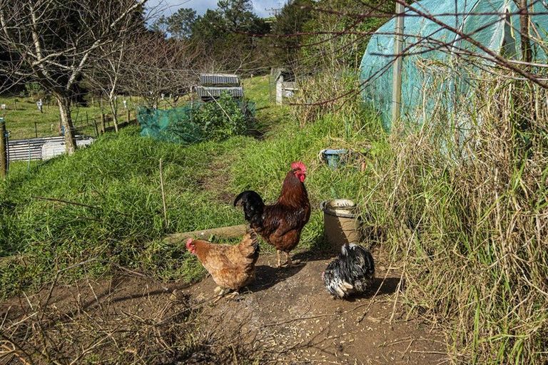 Photo of property in 74 Waiparera Road, Parua Bay, 0192