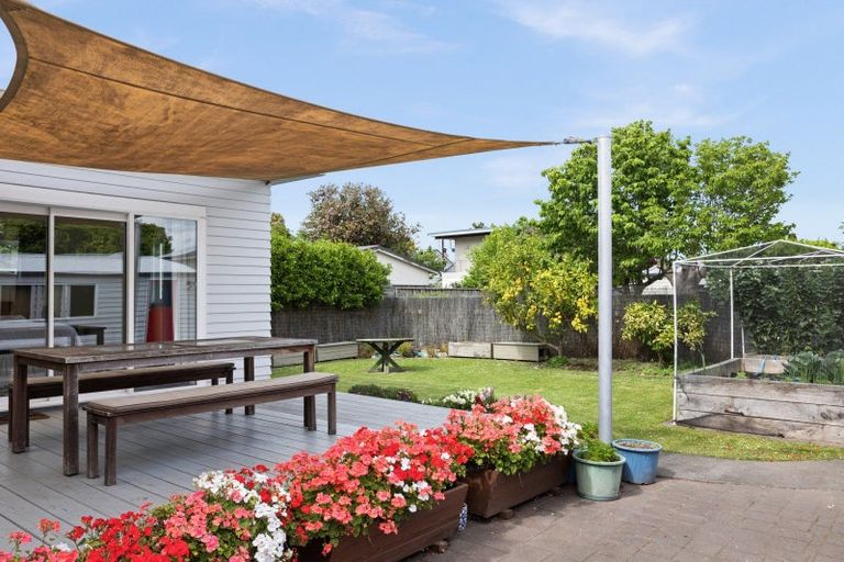 Photo of property in 708 Duke Street, Mahora, Hastings, 4120