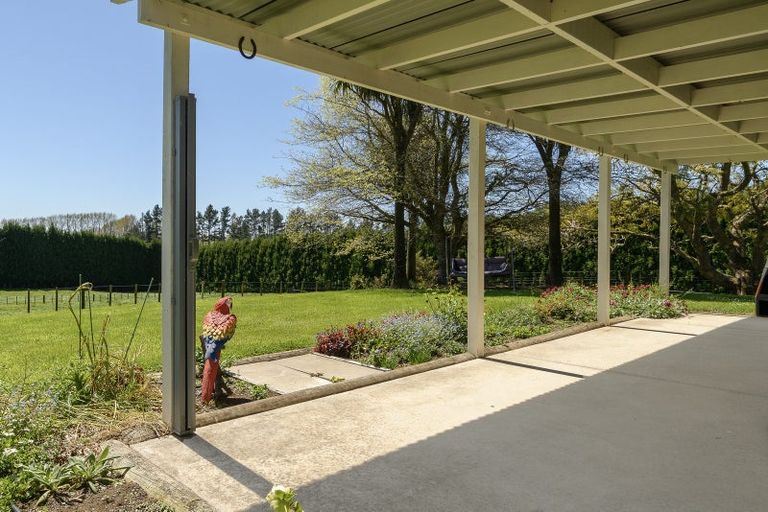 Photo of property in 9d Mcquade Road, Whakamarama, Tauranga, 3179