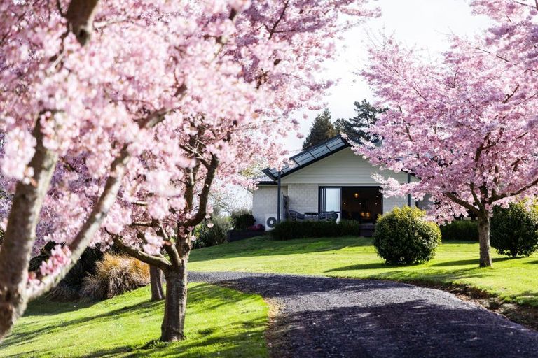 Photo of property in 155 Waitekauri Road, Waikino, Waihi, 3682