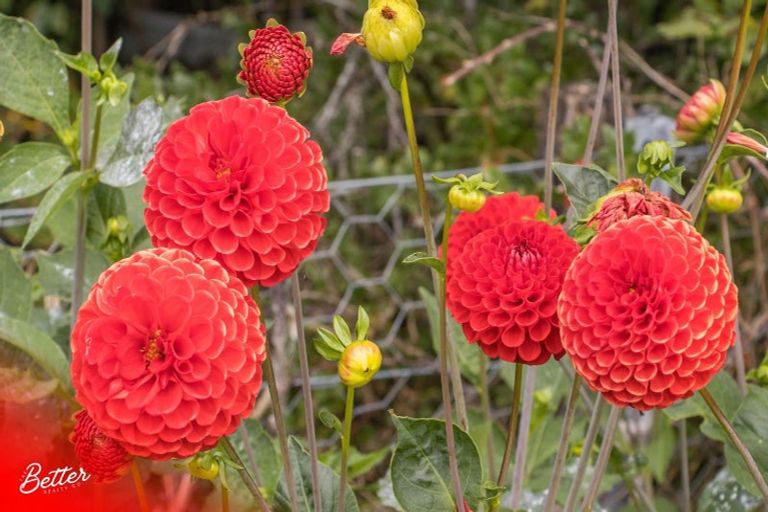 Photo of property in 10 Richmal Street, Waihi, 3610