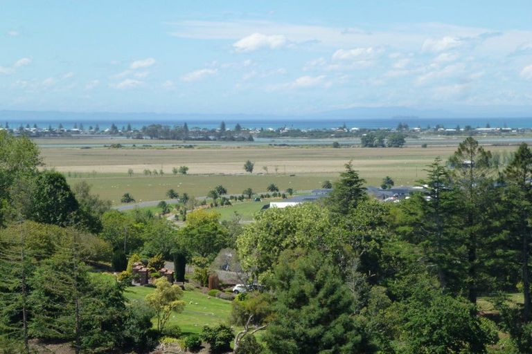 Photo of property in 86 Oak Road, Poraiti, Napier, 4112