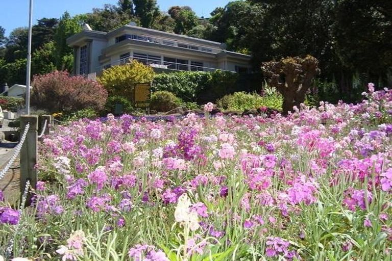 Photo of property in 1/48 Coote Road, Bluff Hill, Napier, 4110