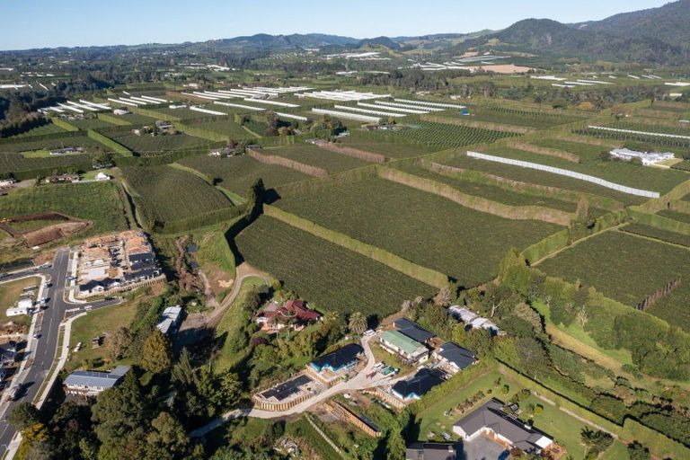 Photo of property in 81 Dunlop Road, Te Puke, 3119