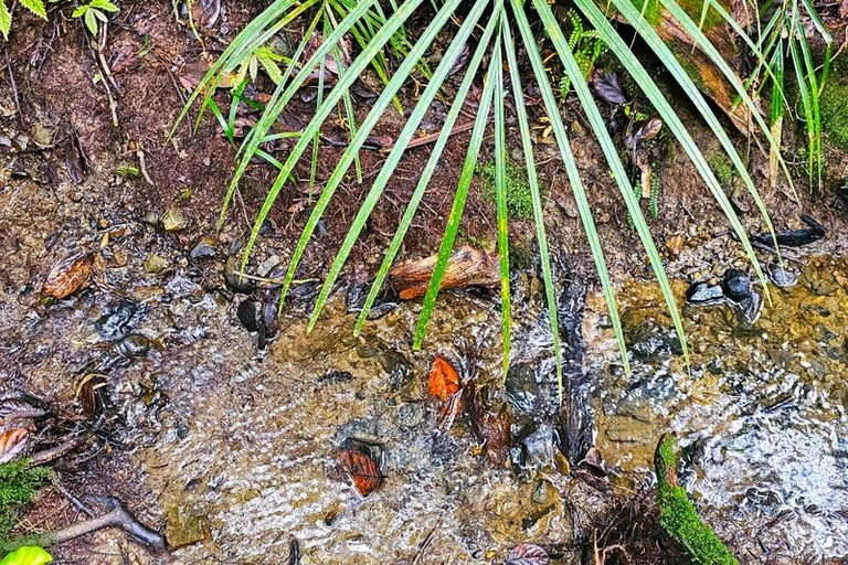 Photo of property in 243 Creamery Road, Kohukohu, 0491