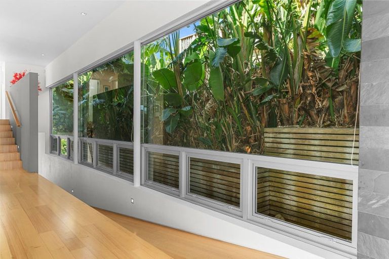 Photo of property in 53 Olsen Avenue, Mangawhai Heads, Mangawhai, 0505