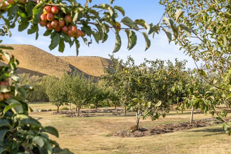 Photo of property in 333 Ardgour Road, Tarras, Cromwell, 9383