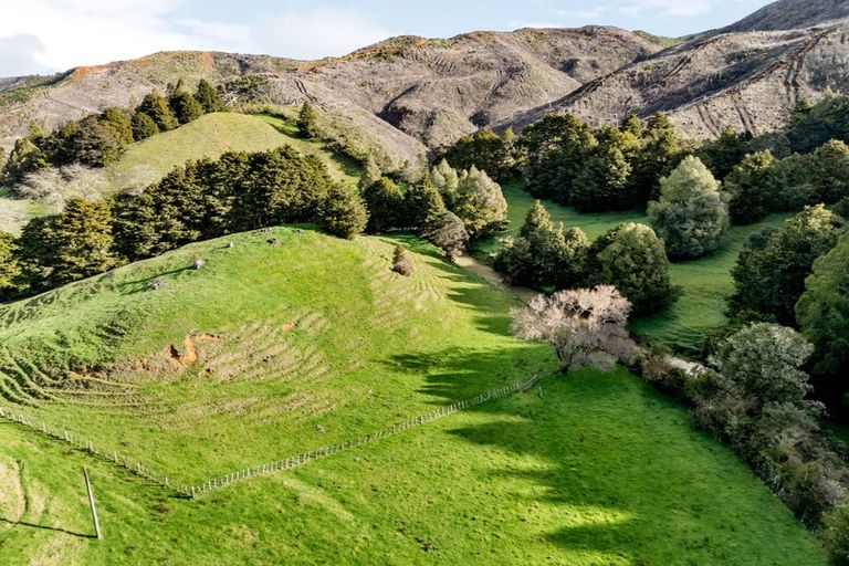 Photo of property in 2102 Waingaro Road, Waingaro, Ngaruawahia, 3793