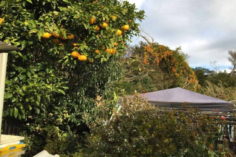 Photo of property in 20 Waiomu Valley Road, Waiomu, Thames, 3575