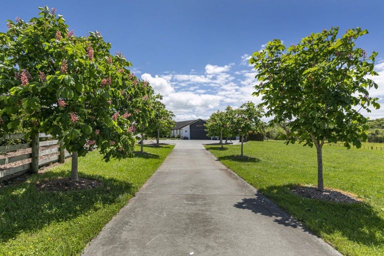 Photo of property in 13 Oak Valley Road, Dairy Flat, Albany, 0792