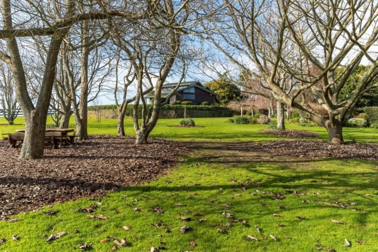 Photo of property in 131 Hereford Road, Oropi, Tauranga, 3173