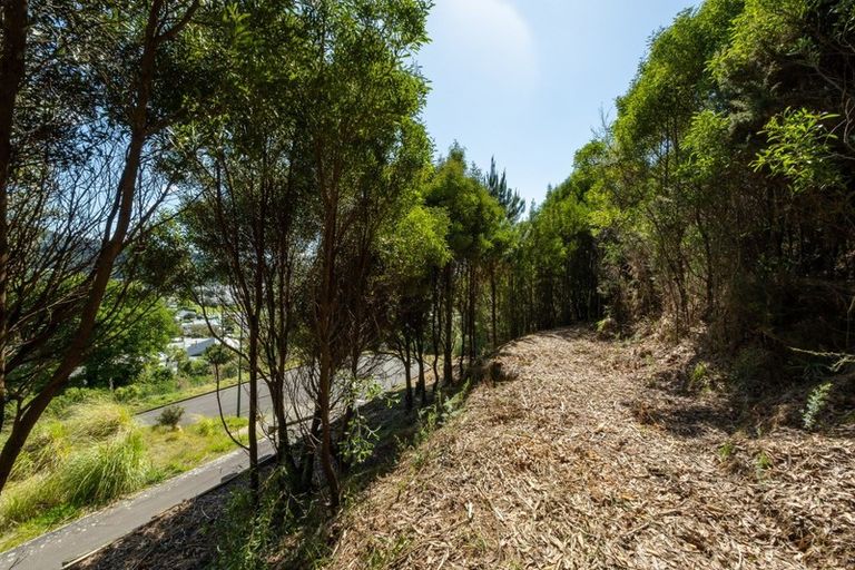 Photo of property in 16 Kakapo Rise, Picton, 7220