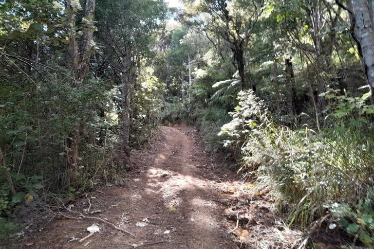 Photo of property in 109 Kawhina Lane, Kuaotunu, Whitianga, 3592