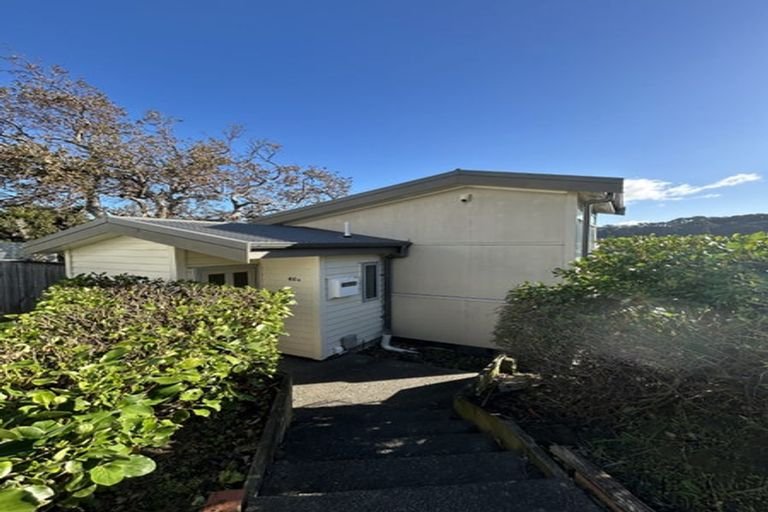Photo of property in 40a Overtoun Terrace, Hataitai, Wellington, 6021