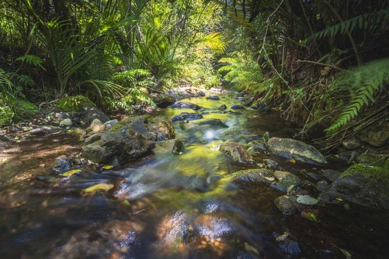 Photo of property in 839 Collingwood-puponga Main Road, Collingwood, 7073