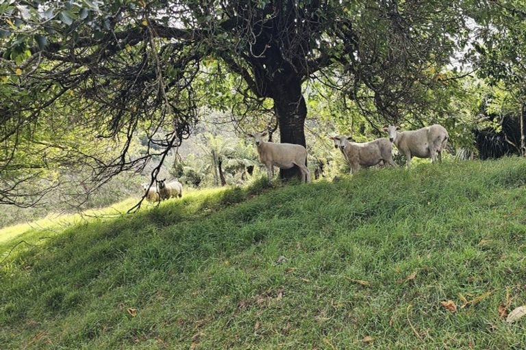 Photo of property in 112 Ruahihi Road, Omanawa, Tauranga, 3171