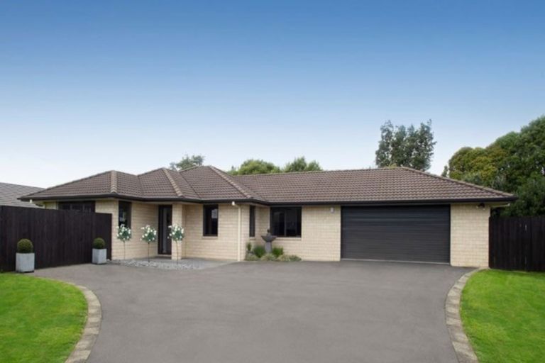 Photo of property in 50 Matipo Street, Matamata, 3400