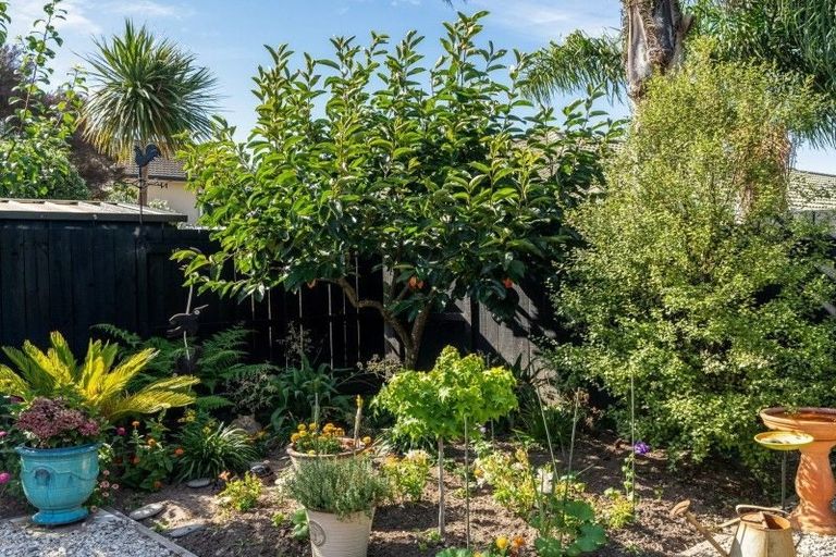 Photo of property in 40 Pacific Cove Drive, Papamoa Beach, Papamoa, 3118
