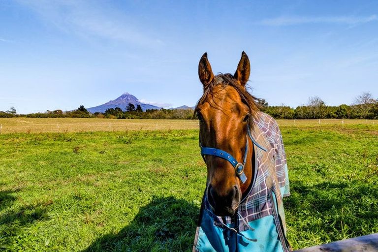 Photo of property in 1284 Mountain Road, Inglewood, 4389