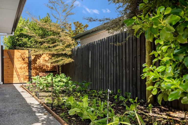 Photo of property in 8 Te Aika Street, Marshland, Christchurch, 8083