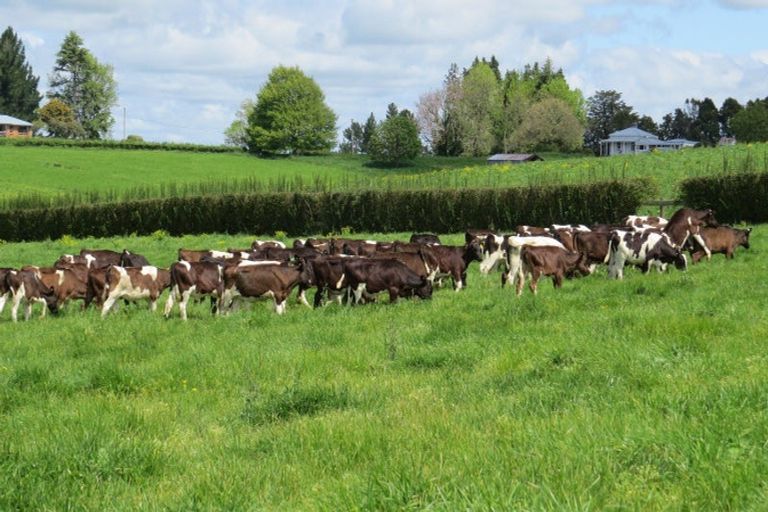 Photo of property in 58 Ryburn Road, Ohaupo, 3883