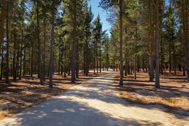 Photo of property in 390a Letts Gully Road, Letts Gully, Alexandra, 9393