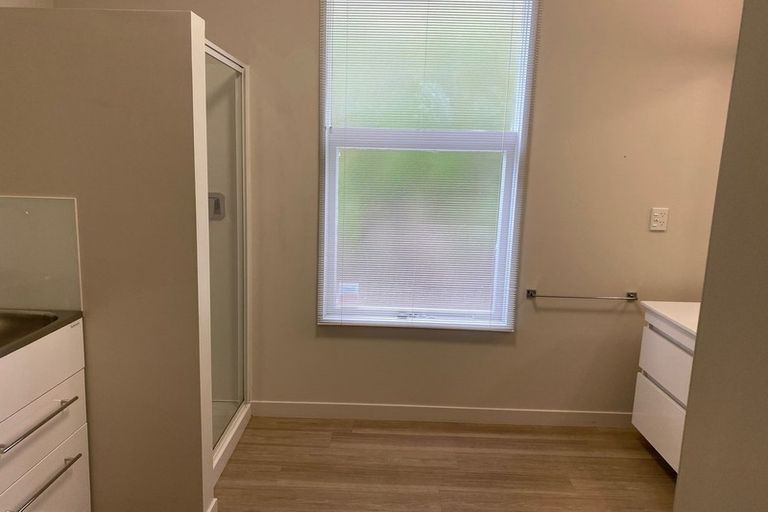 Photo of property in 4 Airedale Street, Dunedin Central, Dunedin, 9016