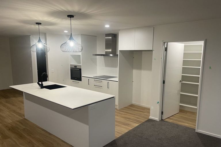 Photo of property in 79 Nethercote Way, Rolleston, 7614