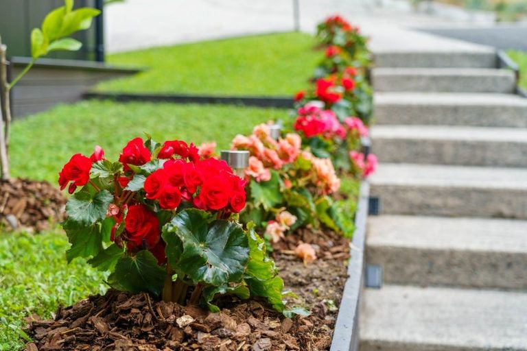 Photo of property in 123 Cheyne Road, Pyes Pa, Tauranga, 3112