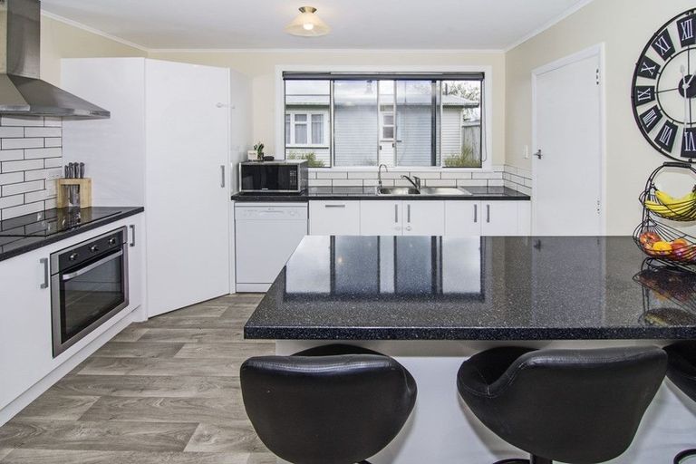 Photo of property in 101 Cockburn Street, Kuripuni, Masterton, 5810