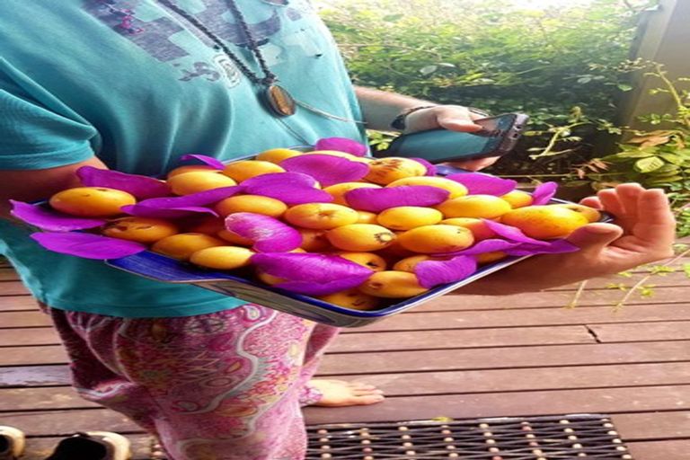 Photo of property in 13 Pohue Creek Road, Ruamahunga, Thames, 3575