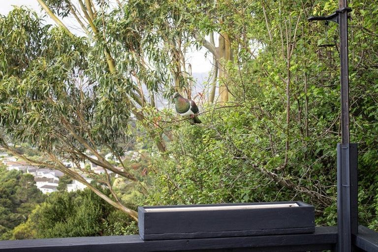 Photo of property in 22 The Bollard, Whitby, Porirua, 5024
