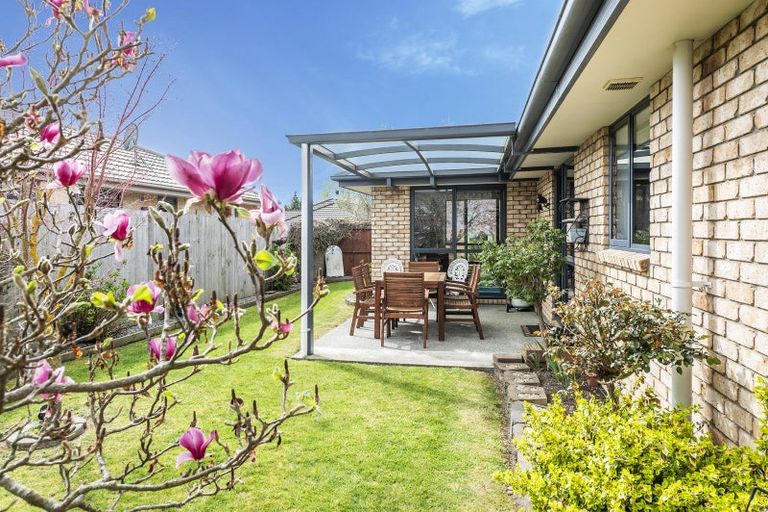 Photo of property in 164 Main Street, Oxford, 7430