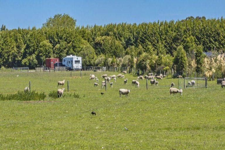 Photo of property in 187 Tancreds Road, Lincoln, Christchurch, 7672